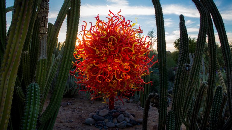Red and orange glass sculpture exhibited in a desert among cacti
