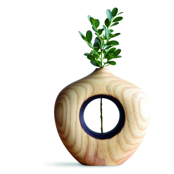 Circular vase holding a green plant. 