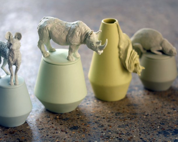 Charlotte Mary Pack, Species Pots (White Rhino detail)