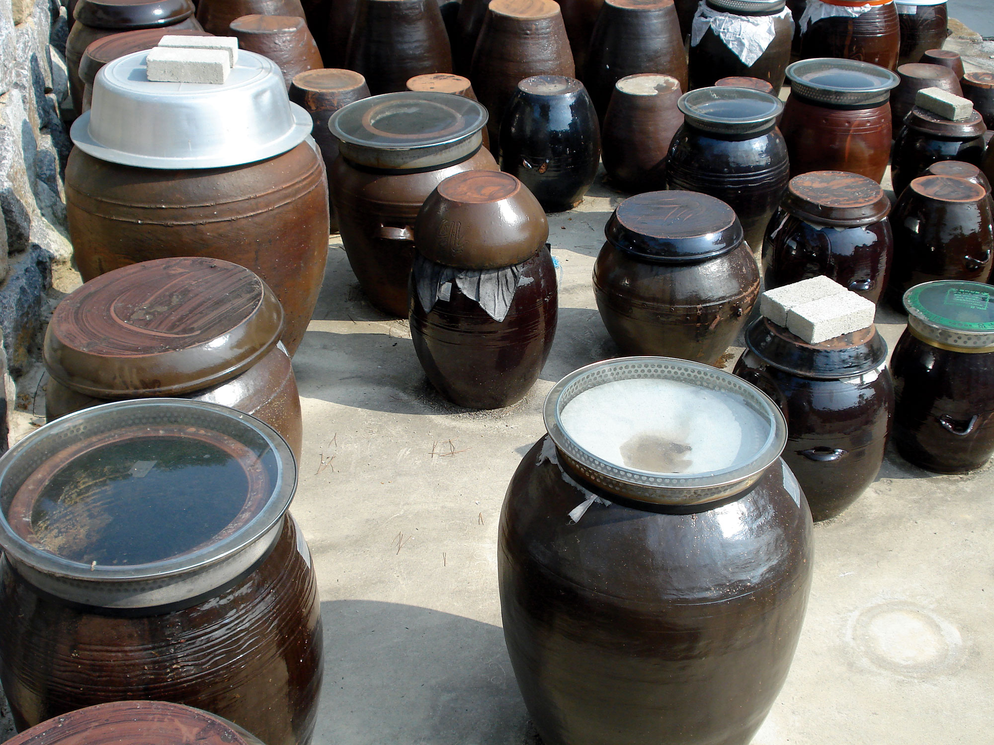 Ceramic jugs of various sizes fermenting kimchi