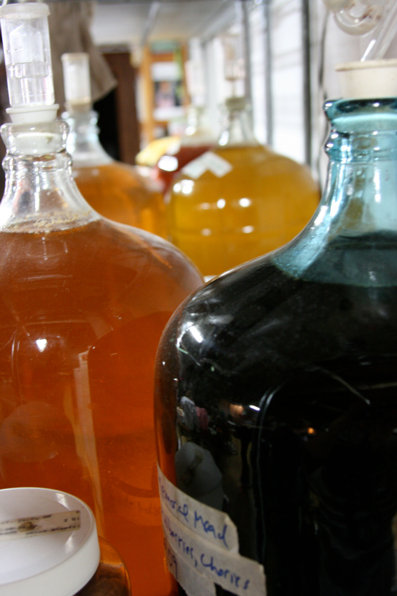 Carboys of fermenting mead