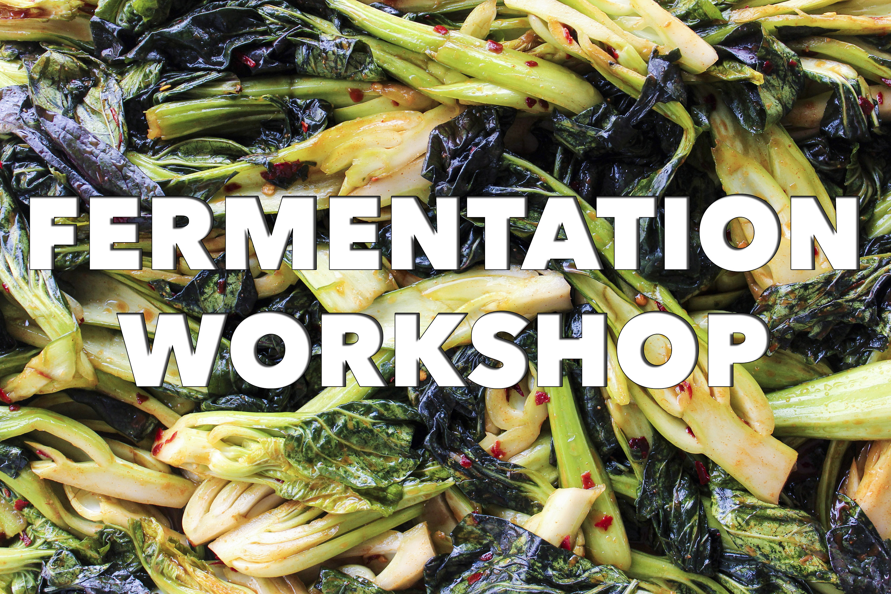 fermentation workshop