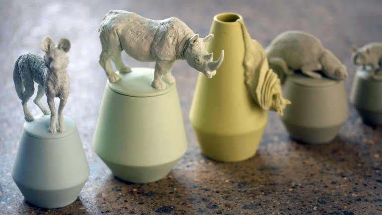Charlotte Mary Pack, Species Pots (White Rhino detail)