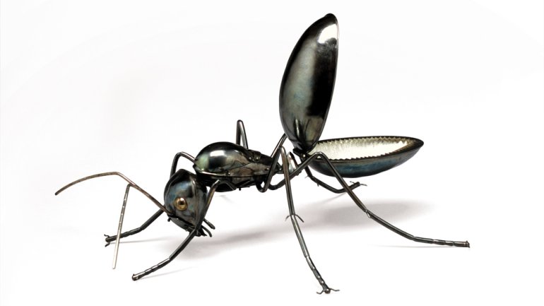 Elizabeth Goluch’s Carpenter Ants (Work Is Play)