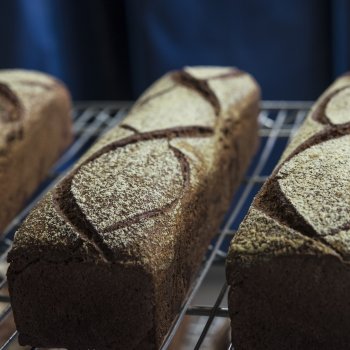 Baker's Field Flour & Bread