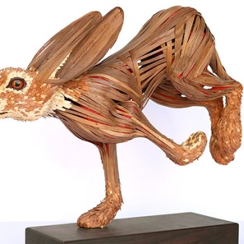 Michael Alm, Jack Rabbit (Lepus californicus)