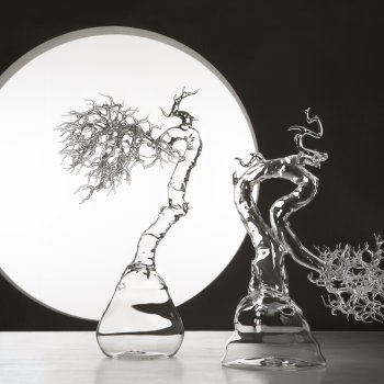 Simone Crestani, Glass Bonsai, 2017