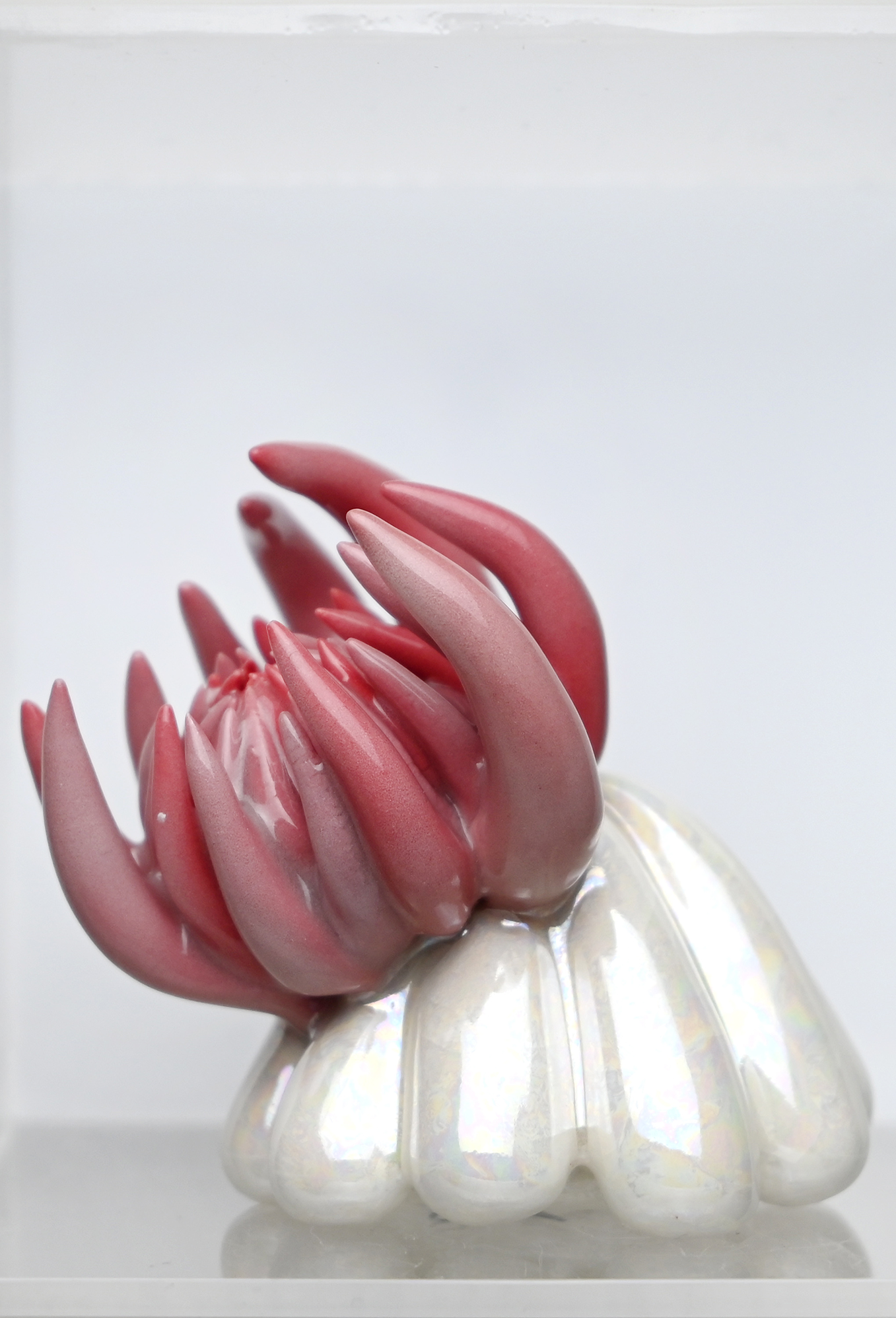 Small sea-anemone-like ceramic sculpture