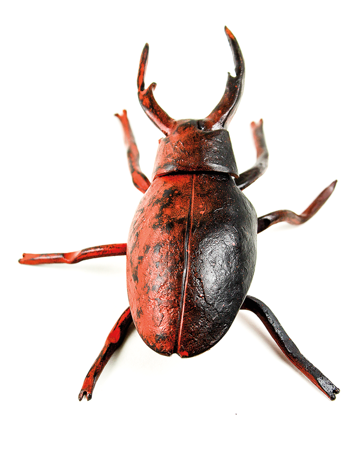 Metal beetle sculpture