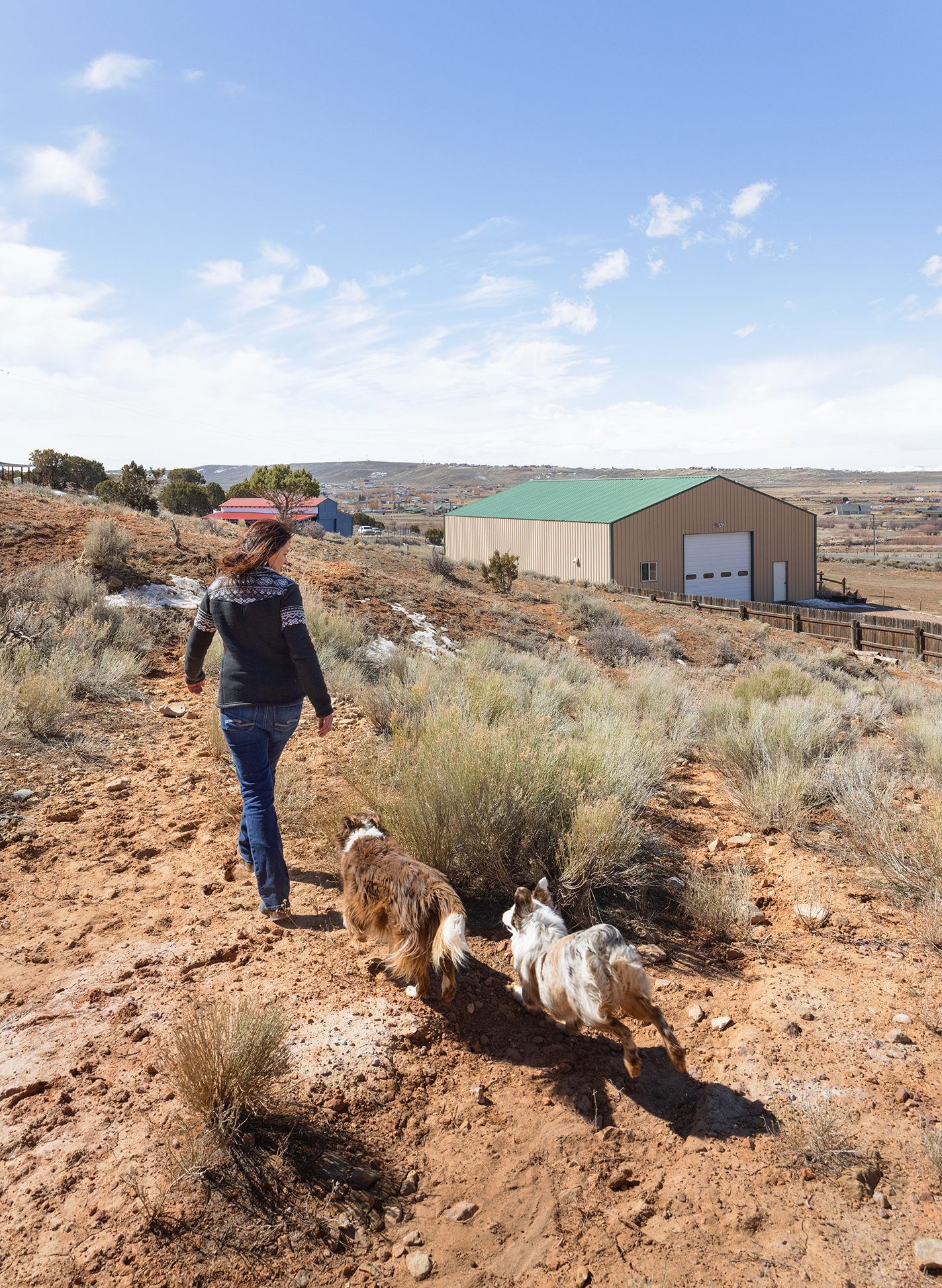 Amy Ericson and two dogs walk along a juniper ridge.