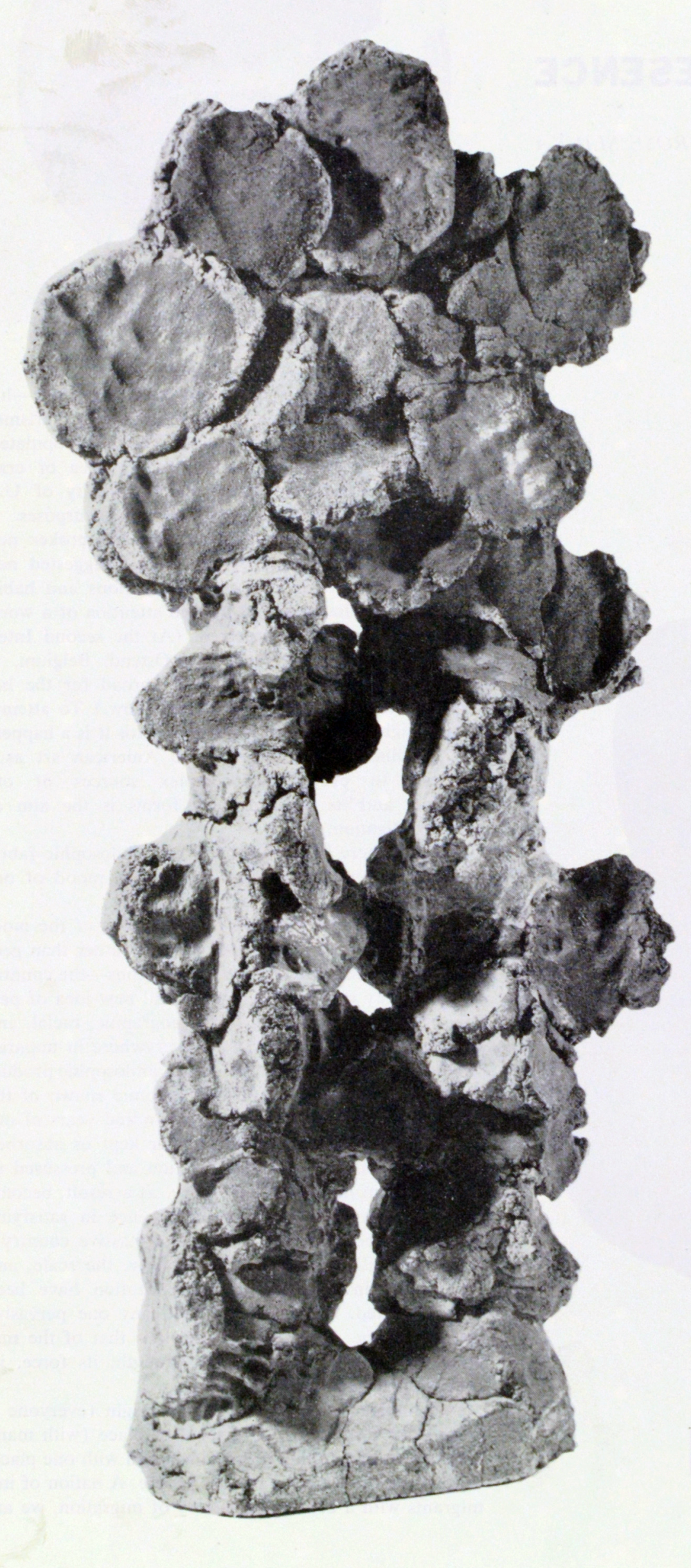 Natural clay sculpture