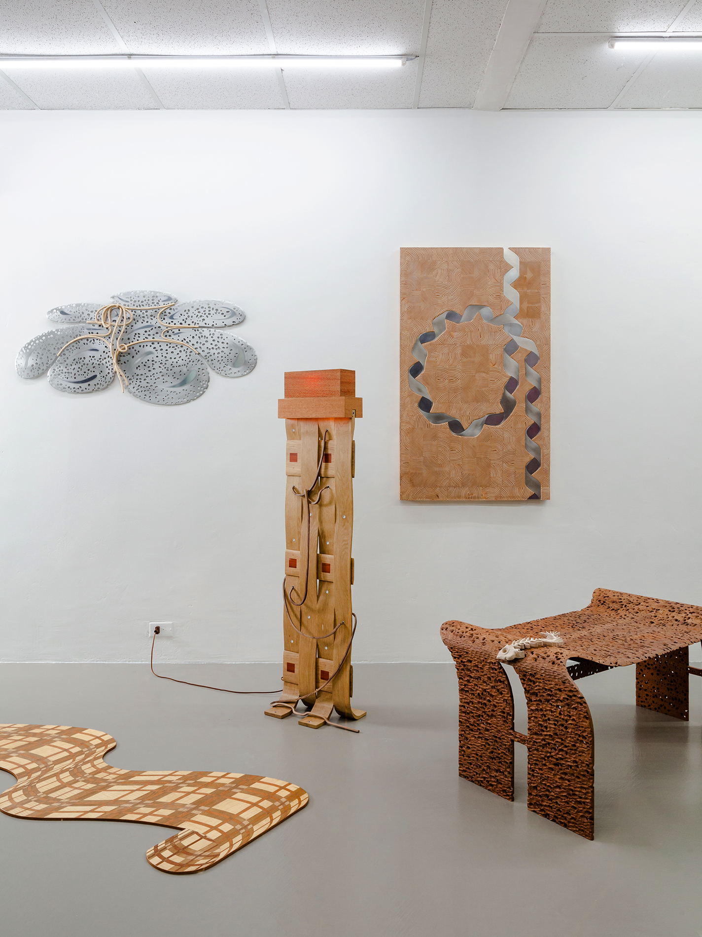 Various works by Tabak installed at her 2023 solo exhibition