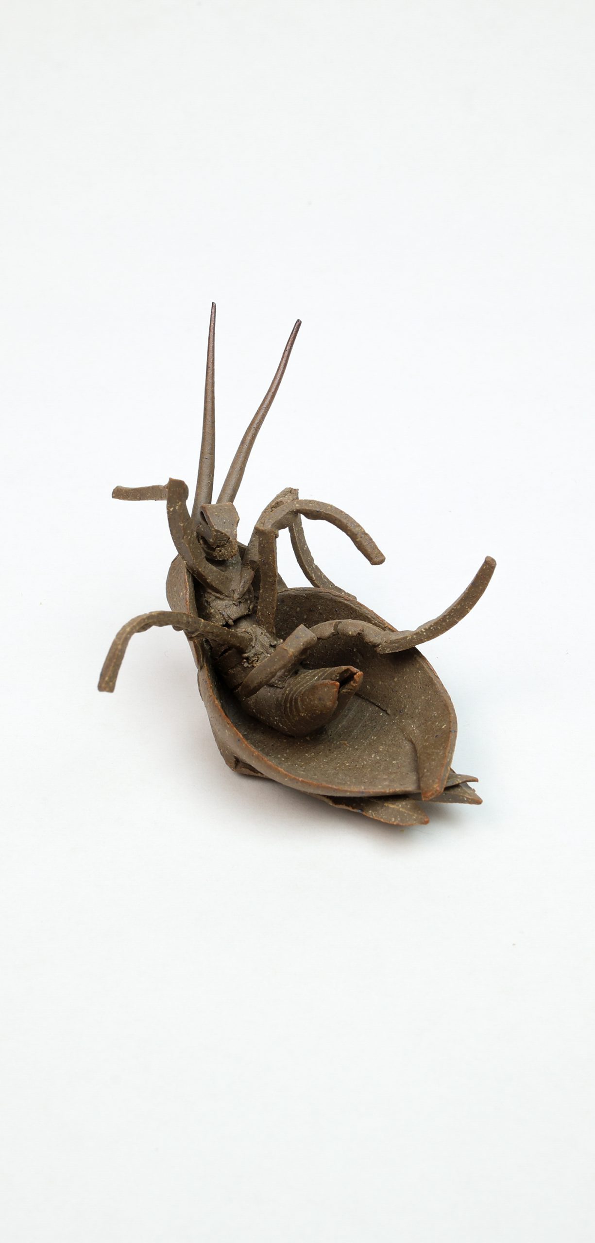 Small stoneware bug sculpture